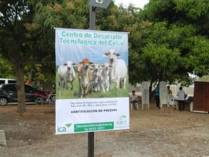 certificacion de predios libres de brucelosis y tuberculosis