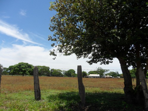 Víctimas de despojo en El Cesar fueron beneficiadas con el proceso de restitución  