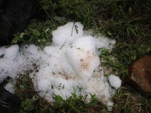 10309707_483984265037619_7370078380843738782_n (2)