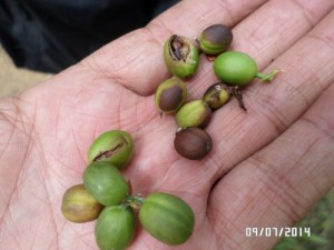 SAMSUNG CAMERA PICTURES