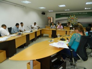 asamblea del Cesar