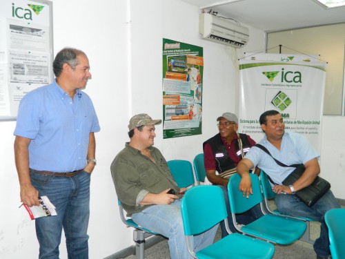 Aumenta movilización de ganado por sequía:&nbsp;ICA