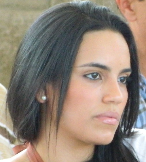 El SIVA, en subcomité de trabajo del orden&nbsp;nacional