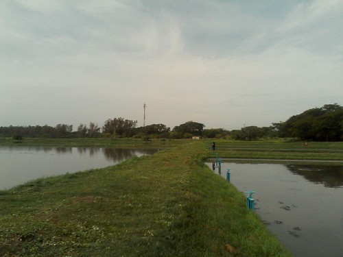 Corpocesar intenta mitigar contaminación del río&nbsp;Cesar