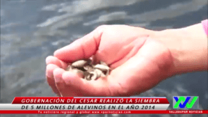 Screenshot_2014-12-10-14-39-17