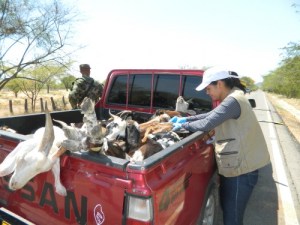 capacitacion puesto de control 3