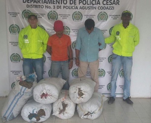 Fueron incautados 101 kilos de marihuana en el&nbsp;Cesar