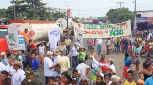 Productores del cesar realizaron marcha a Bosconia para salvar el agro en el caribe0