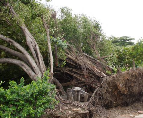 Por vendaval, sin energía eléctrica Bosconia, El Copey y poblaciones del&nbsp;Magdalena
