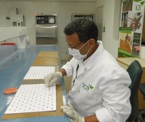LABORATORIO DE SEMILLAS DE VALLEDUPAR