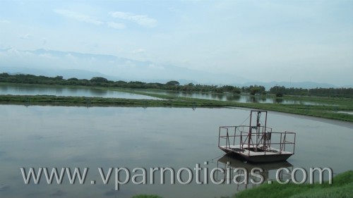Un feto fue encontrado en la laguna de&nbsp;oxidación