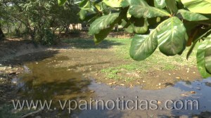 Día Mundial de los Humedales, todos a salvar el humedal de María Camila0