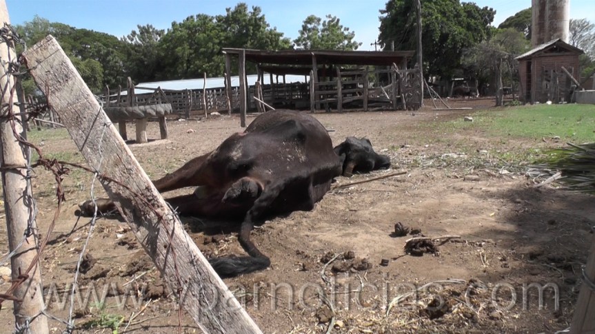 Está lista la declaratoria de calamidad pública en el Cesar:&nbsp;Gobernador