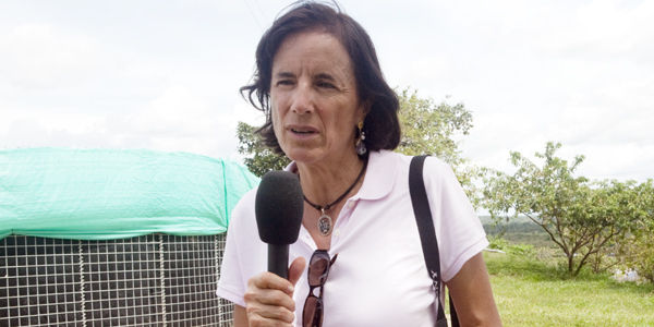 PERIODISTA SALUD HERNÁNDEZ