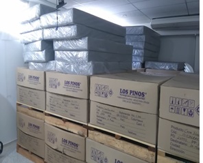 camas hospitalarias guardadas en auditorio