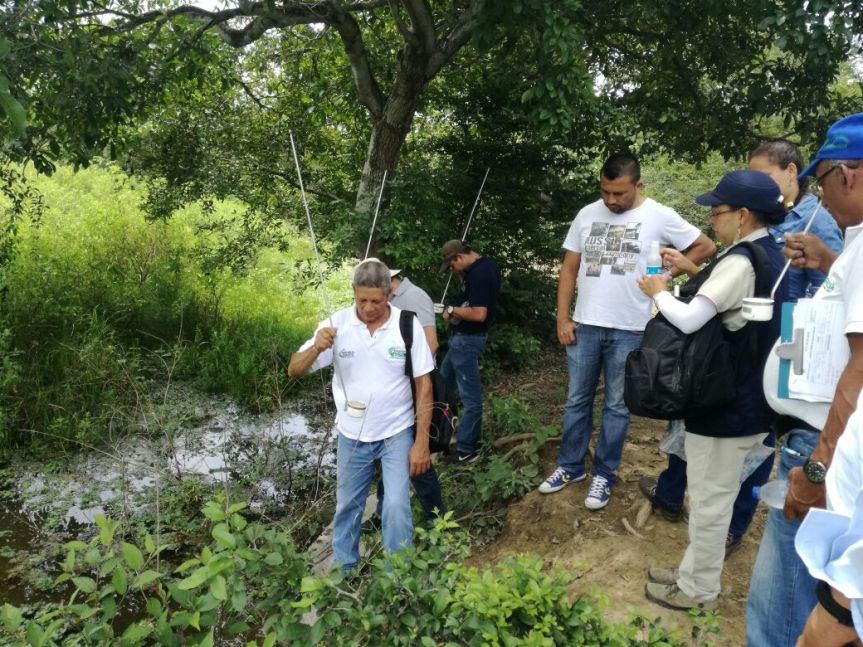 Secretaría de Salud Departamental adelanta acciones ante focos de Encefalitis Equina Venezolana en Becerril y&nbsp;Codazzi