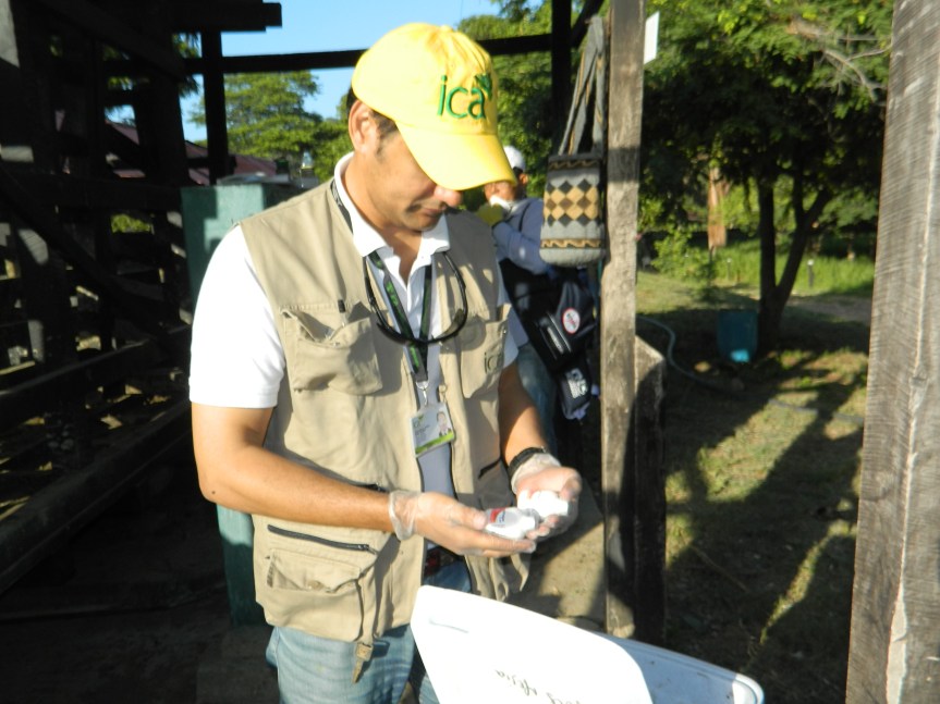Convocatoria nacional , oportunidad para médicos&nbsp;veterinarios