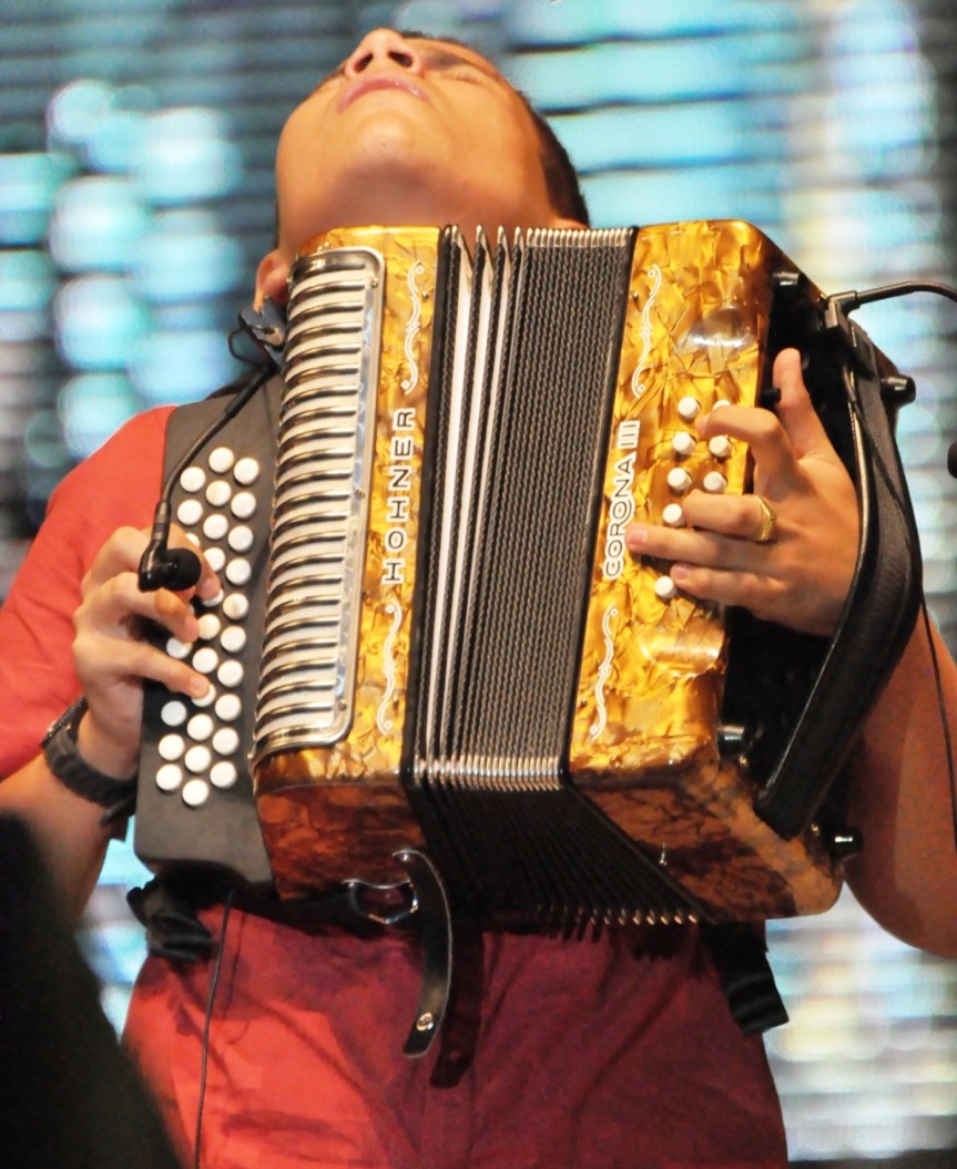 Acordeonero.- Foto Fundación FLV