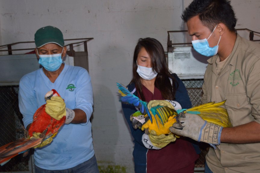 200 animales de regreso a su&nbsp;hábitat