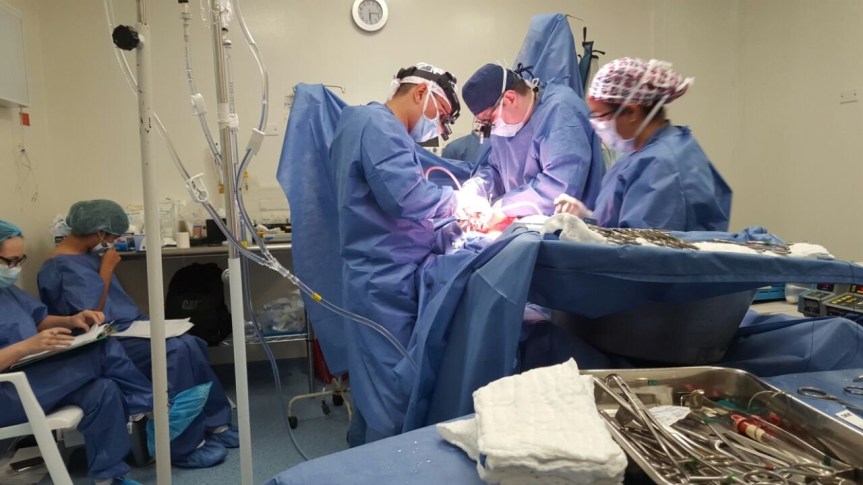 El Cesar se destaca con siete procesos de rescate de órganos a través de la Red de&nbsp;Donantes