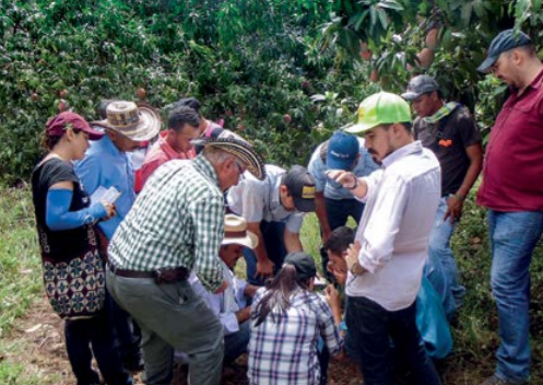 extension agropecuaria-Asohofrucol.png