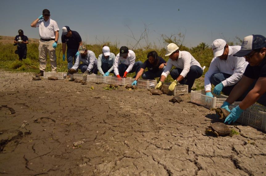 WhatsApp Image 2018-02-21 at 18.24.07.jpeg