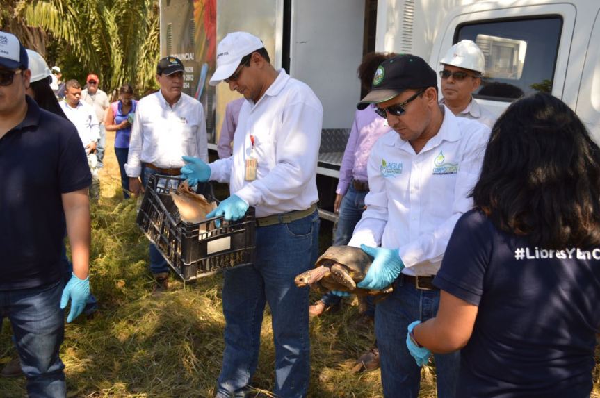 WhatsApp Image 2018-02-21 at 18.24.10.jpeg