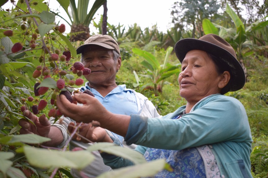 Lanzamiento regional del Decenio de la Agricultura Familiar&nbsp;2019-2028