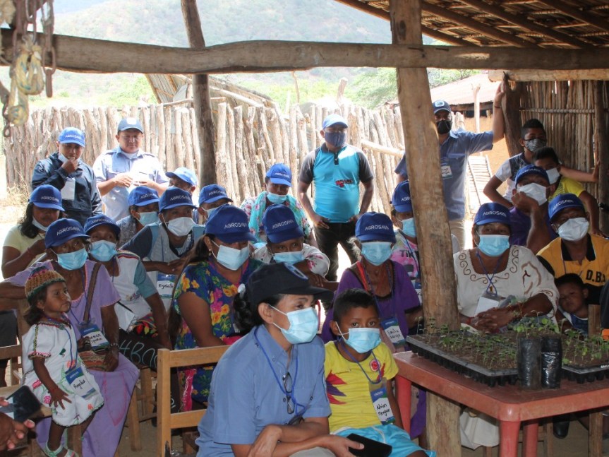 Indígenas Wayuu comienzan a proyectar arreglos silvopastoriles para disminuir las afectaciones por el pastoreo&nbsp;extensivo