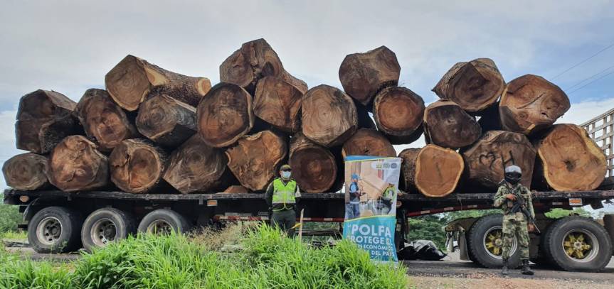 Contraloría urge detener masacre ambiental por deforestación: diariamente se están talando 500 hectáreas de bosque en&nbsp;Colombia
