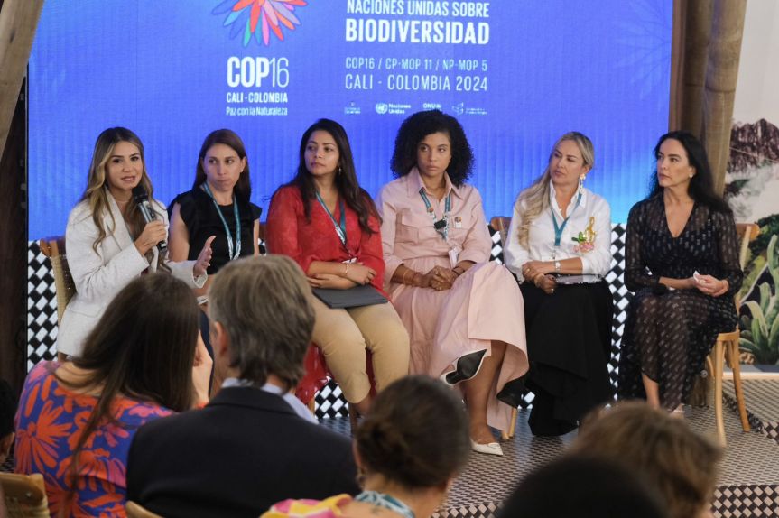 Gobernadora Elvia Milenan Sanjuan fue panelista en la Zona Azul de la&nbsp;COP16